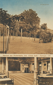Senftenberg